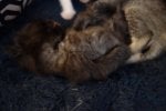 DSC09589.jpg