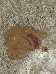 poop.jpg