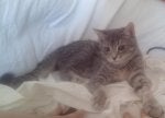 IMG_20130816_181121.jpg