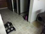 2015-01-30 09.44.jpg
